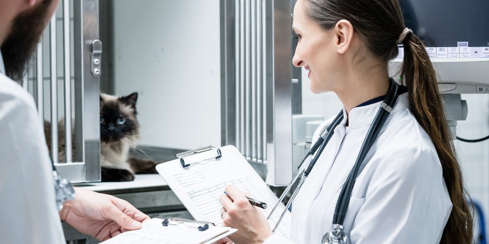 Thank You | Lindenhurst Animal Hospital
